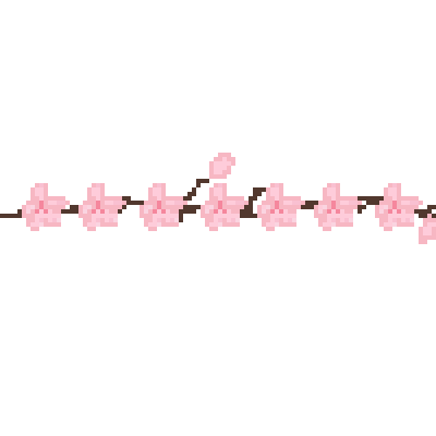 cherry blossom border
